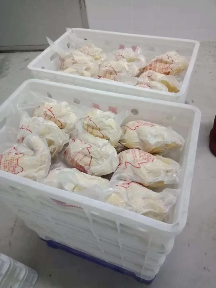 DJL Conveyor freezing tunnel machine Tunnel freezer fast flash tunnel freezer freezing chicken and poultry machine