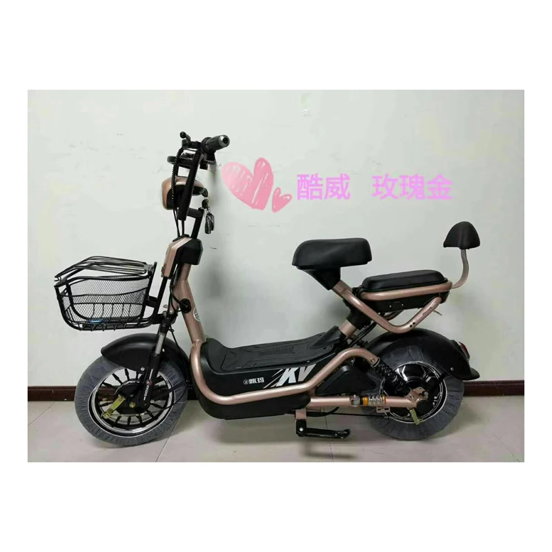 China factory electric bicycle in bangladesh