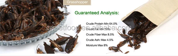 Сушеные колючки корм для птицы корм для кур корм для птиц