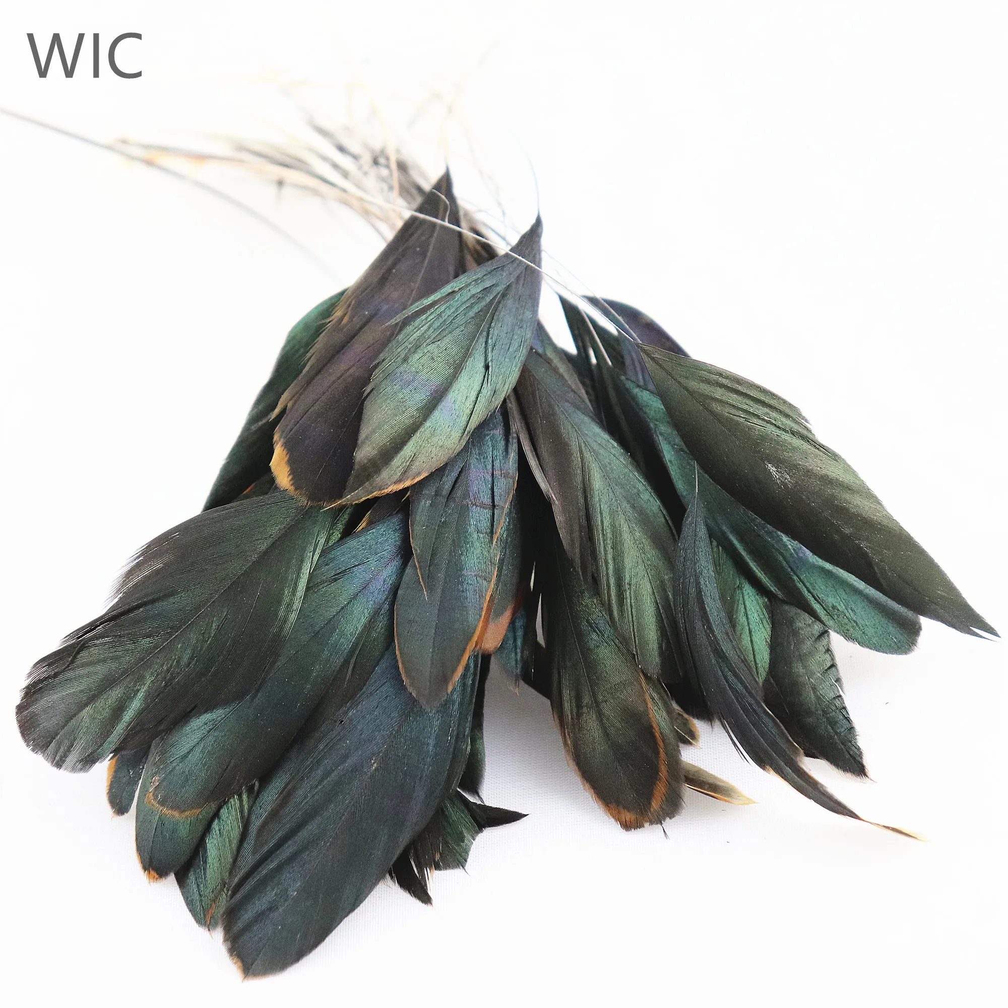 6-8 Inch Bulk Chicken Feathers Millinery Feathers for Sale