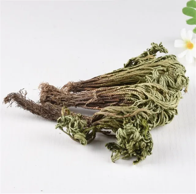 
Juan bai Activating blood to promote menstruation herb medicine dried selaginella spikemosses/whorlleaf stonecrop 