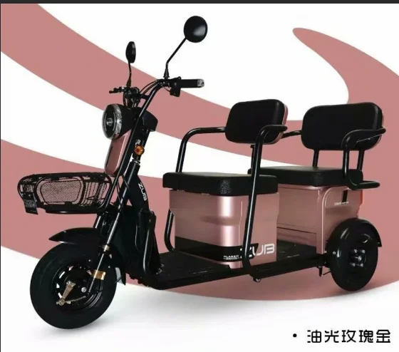 48/60V electric cargo tricycle from China