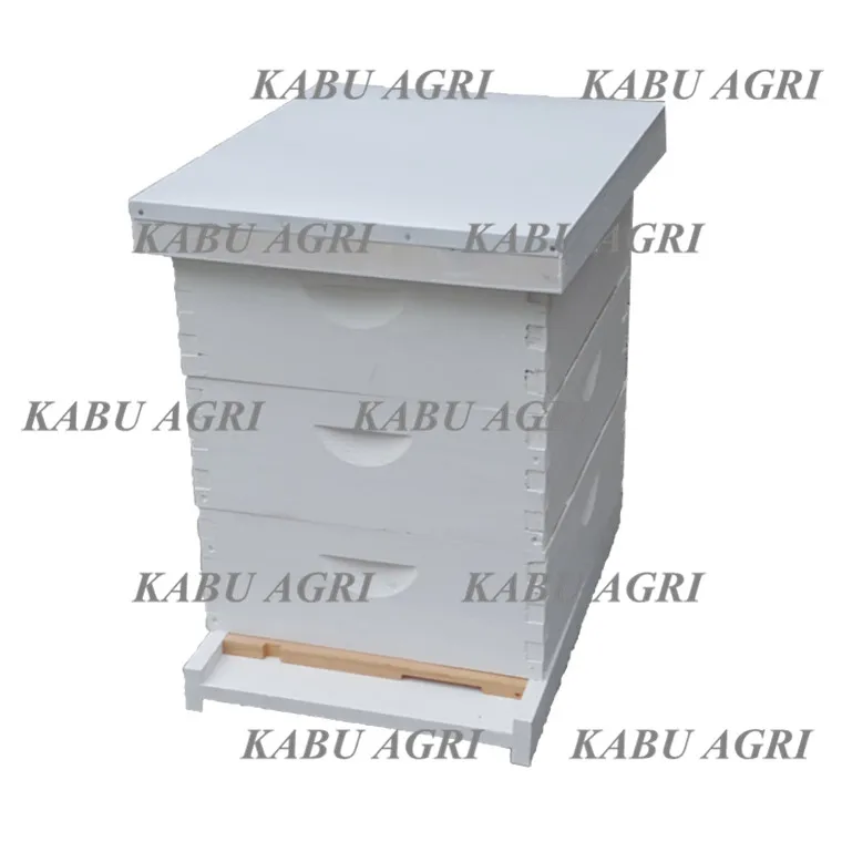 Набор средних пчелиных улей langstroth для начинающих