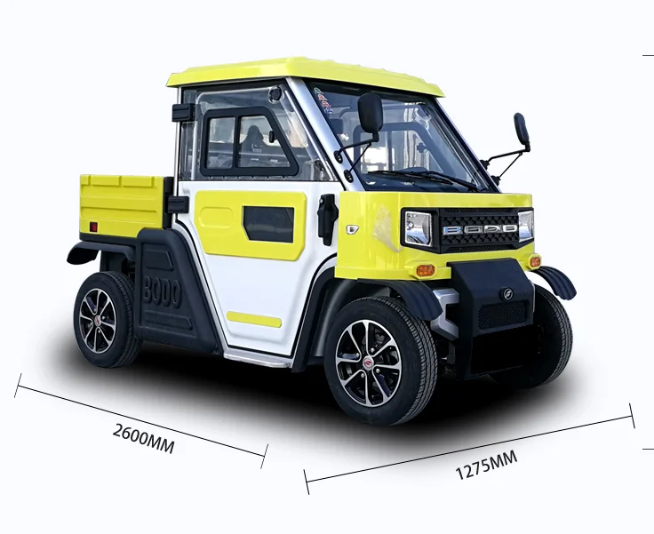 New energy electric vehicle adult two seat pickup electric van mini sightseeing four wheel electric car