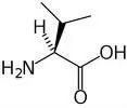 
l-valine 