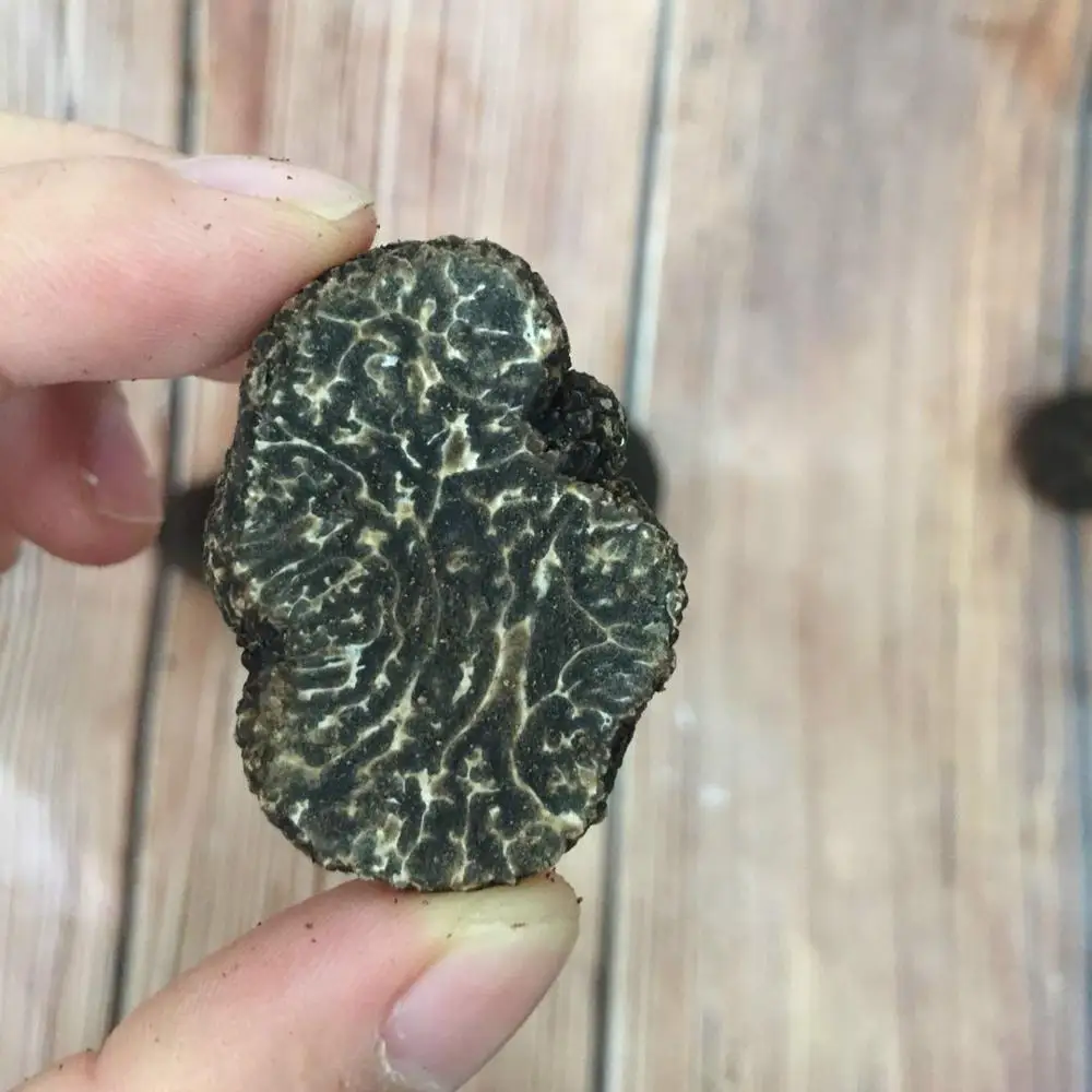 Detan Wild Black Fresh Buyer Truffle