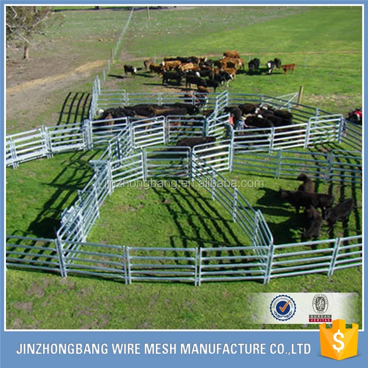 
High quality used steel fence T post for cattle fence 