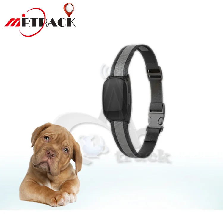 Водонепроницаемый ПЭТ sms сброс gps трекер TK102 Бесплатная веб-местоположение и приложение программного обеспечения на платформе