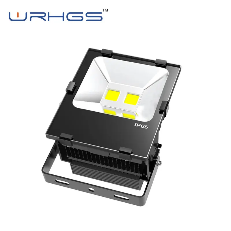 
high power die cast aluminum housing 10w 20w 30w 50w 100w 200w led flood light cob 