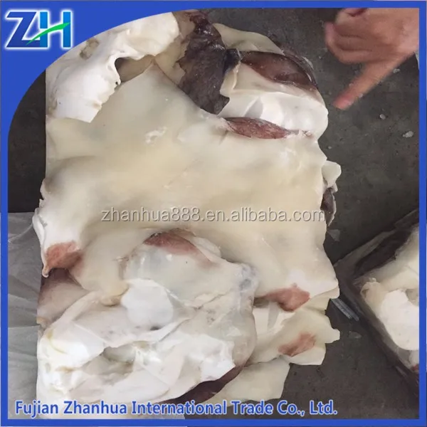 Giant Squid Neck Wholesale Squid Meat Raw Squid Neck