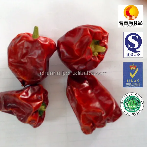 
 Китайский завод экспортирует высококачественный острый хороший вкус красный Сычуань фонарь перец  