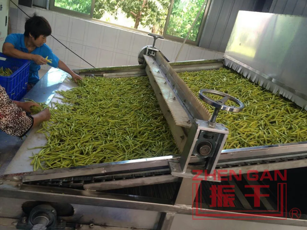 Belt Mesh Dryer for Day Lily/Day Lily/Vegetable Production Line Drying Machines