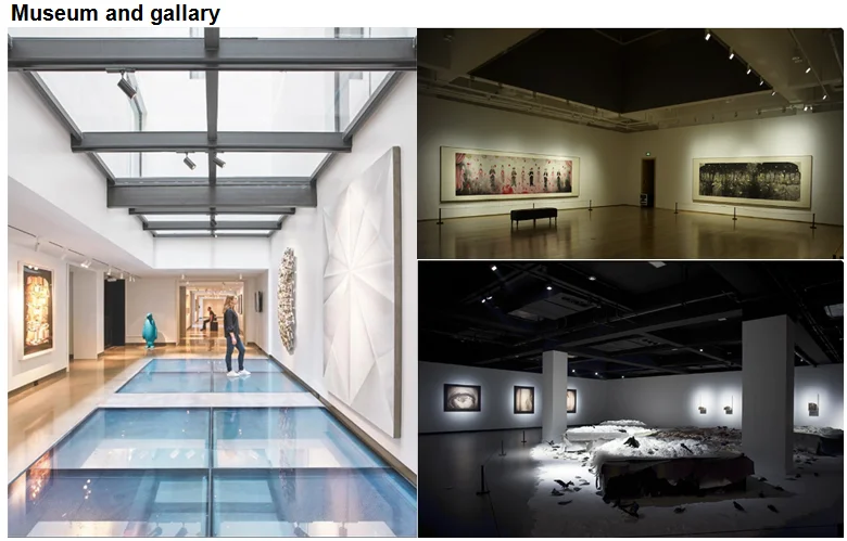 Commercial and architecture LED Lighting Manufacturer Zoomable COB Track Spotlight 10W-30W for Art gallery/Museum Lighting