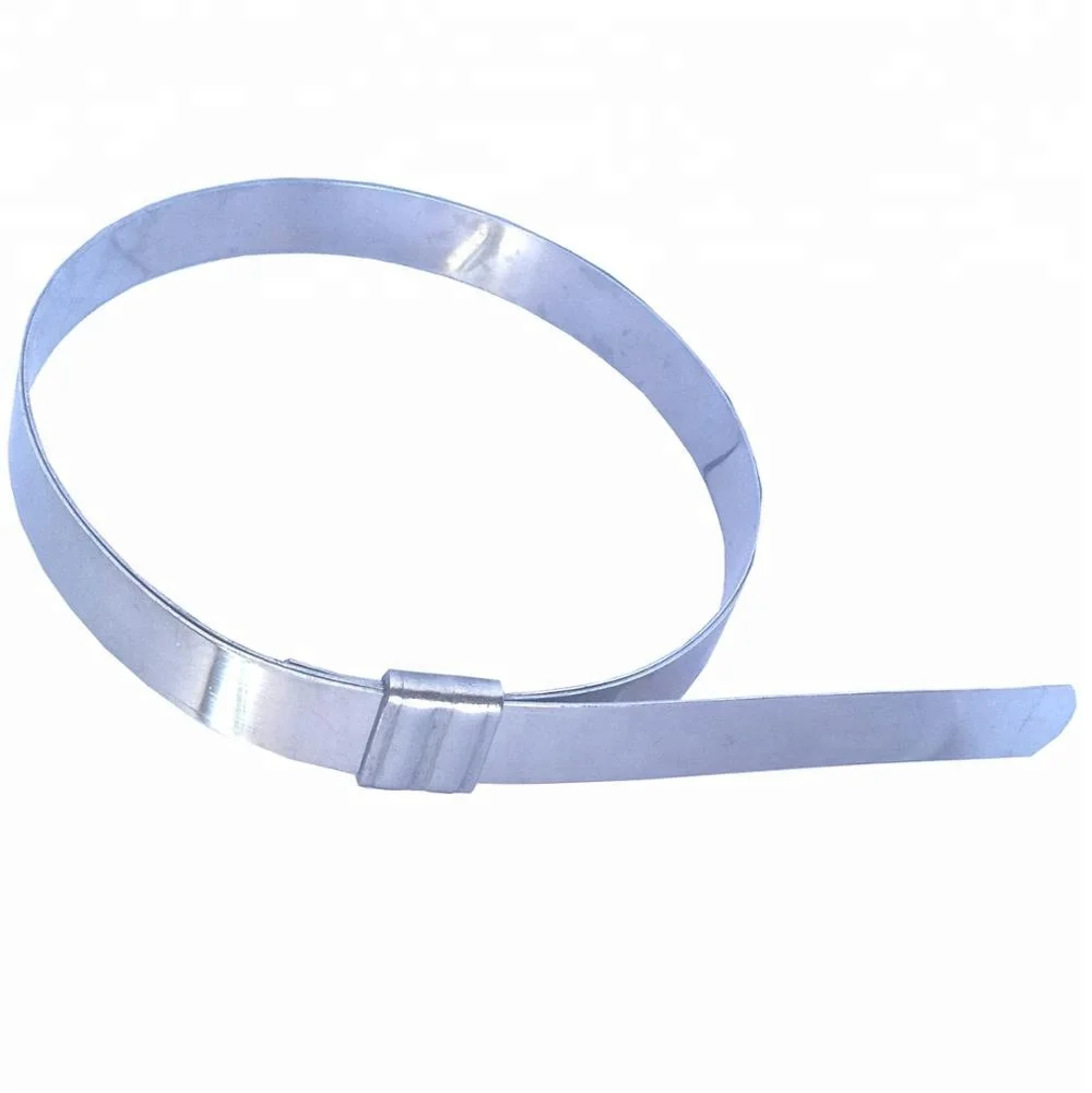 Stainless steel 304 W4 throbbing hose clamp