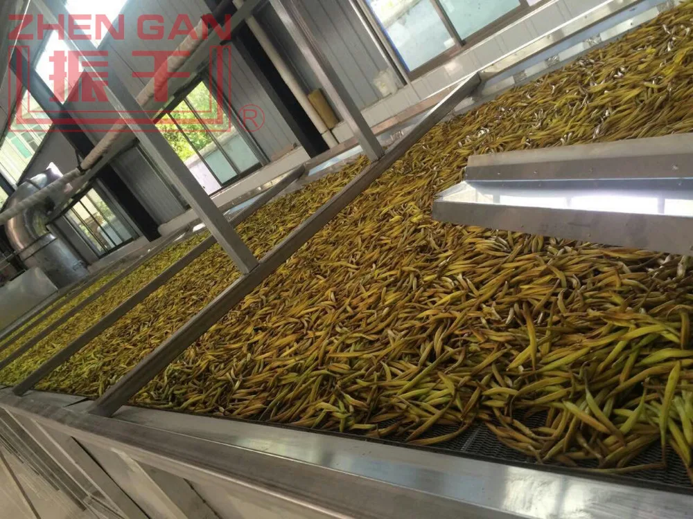 Belt Mesh Dryer for Day Lily/Day Lily/Vegetable Production Line Drying Machines