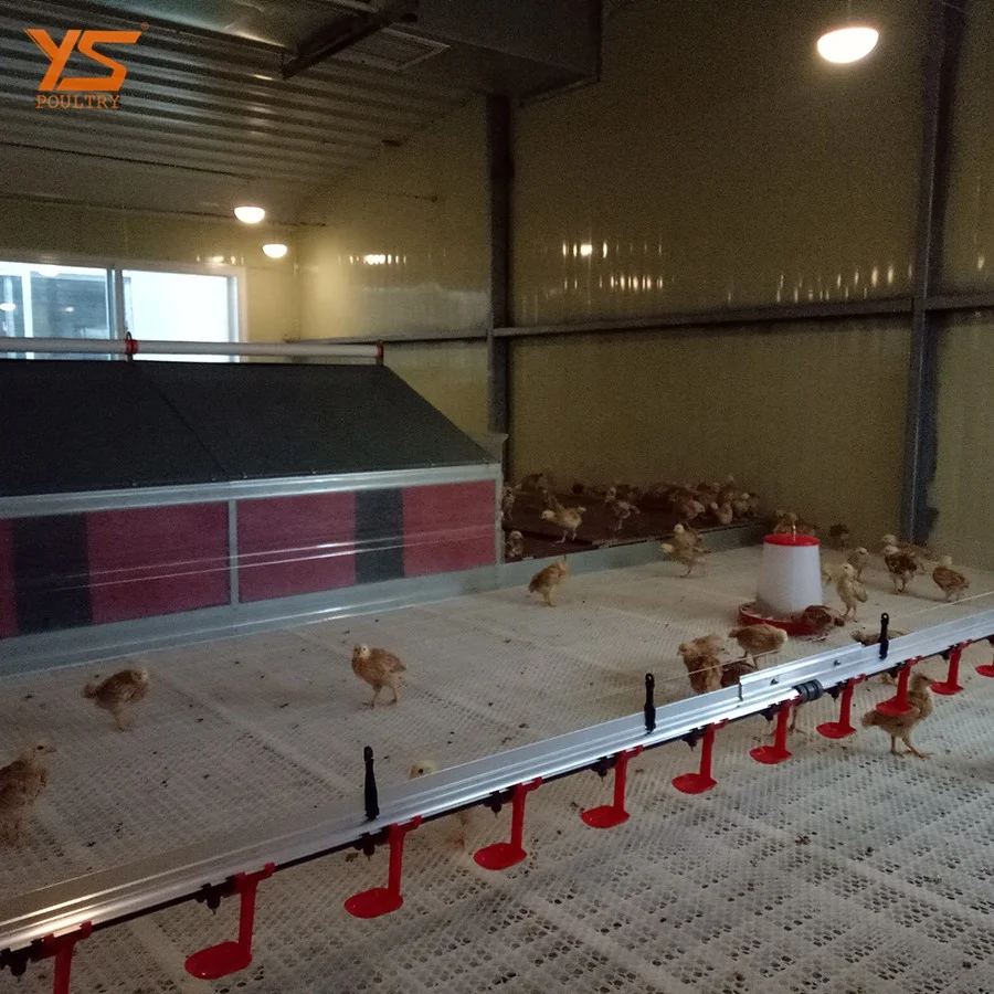 
Modern Automatic breeder floor/ ground feeding system 