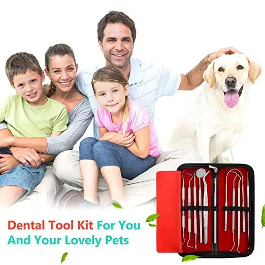 
10cs PACK Dental Pick Stainless Steel Tongue Scraper, Dental Hygiene Kit Set, 