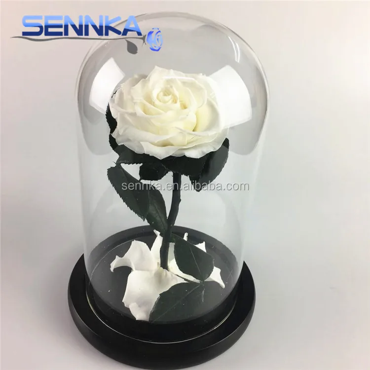 Yunnan Wholesale Preserved Rose in Glass Dome for Home Decoration