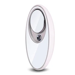 unique oval design mini portable electric continuous nano mist sprayer