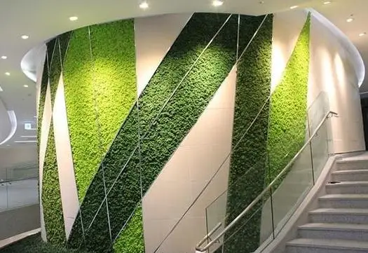 Wholesale 500G Long Life Preserved Moss Use To Make Stabilize Moss preserved Wall artificial moss grass wall for decoration