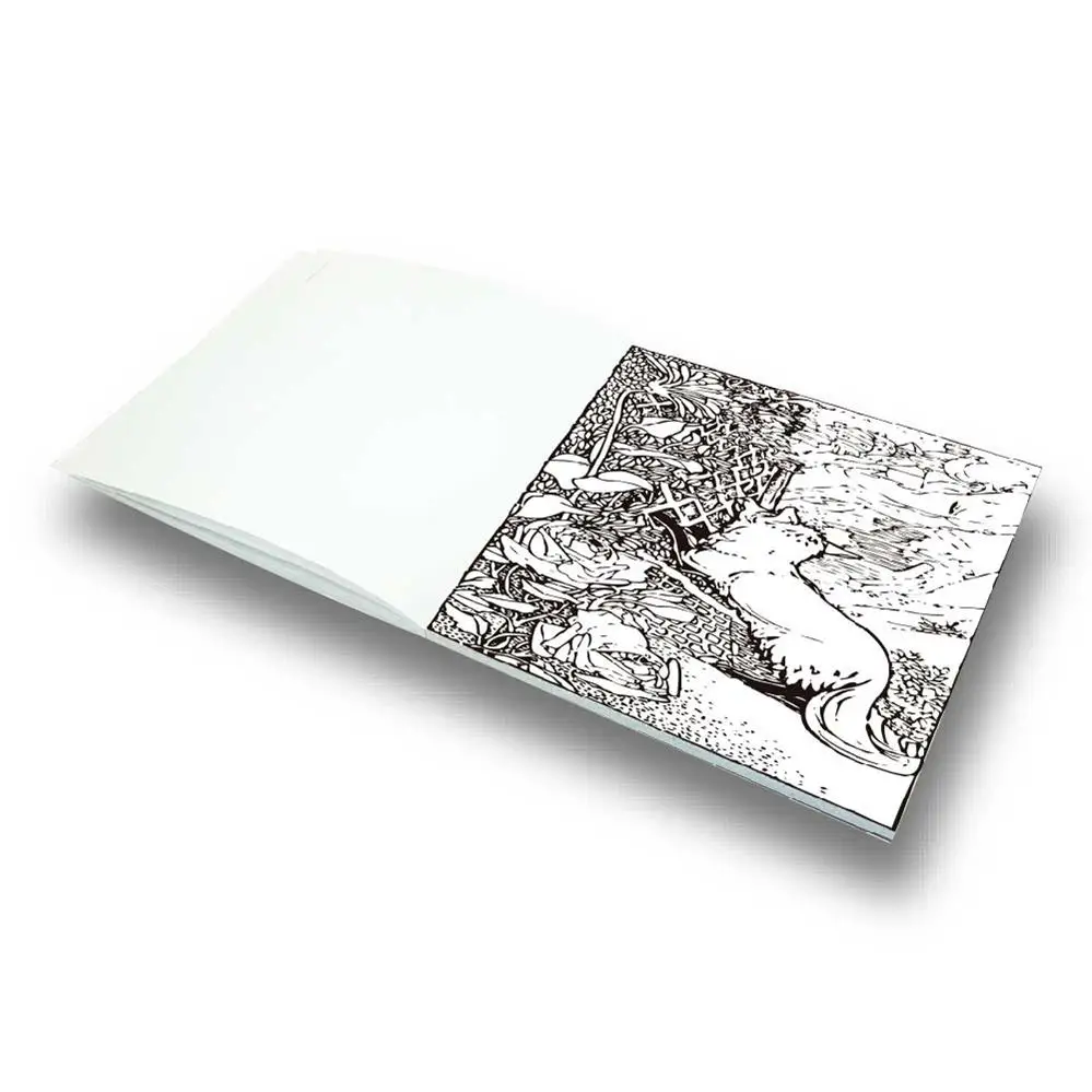 world crazy popular adults secret garden coloring book in bulk