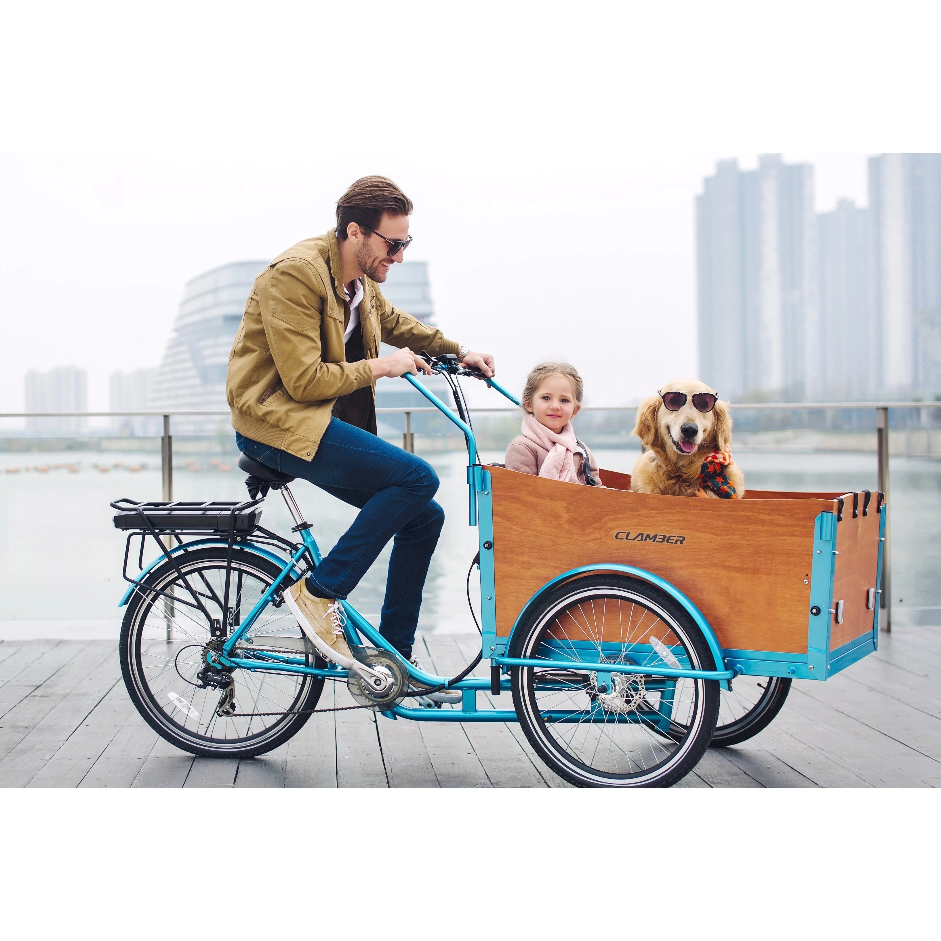 26 дюймов заднее колесо/e грузовой велосипед 3 колеса/250W 36V/ 6 скоростей/детей или грузовой карабкаться 9032E