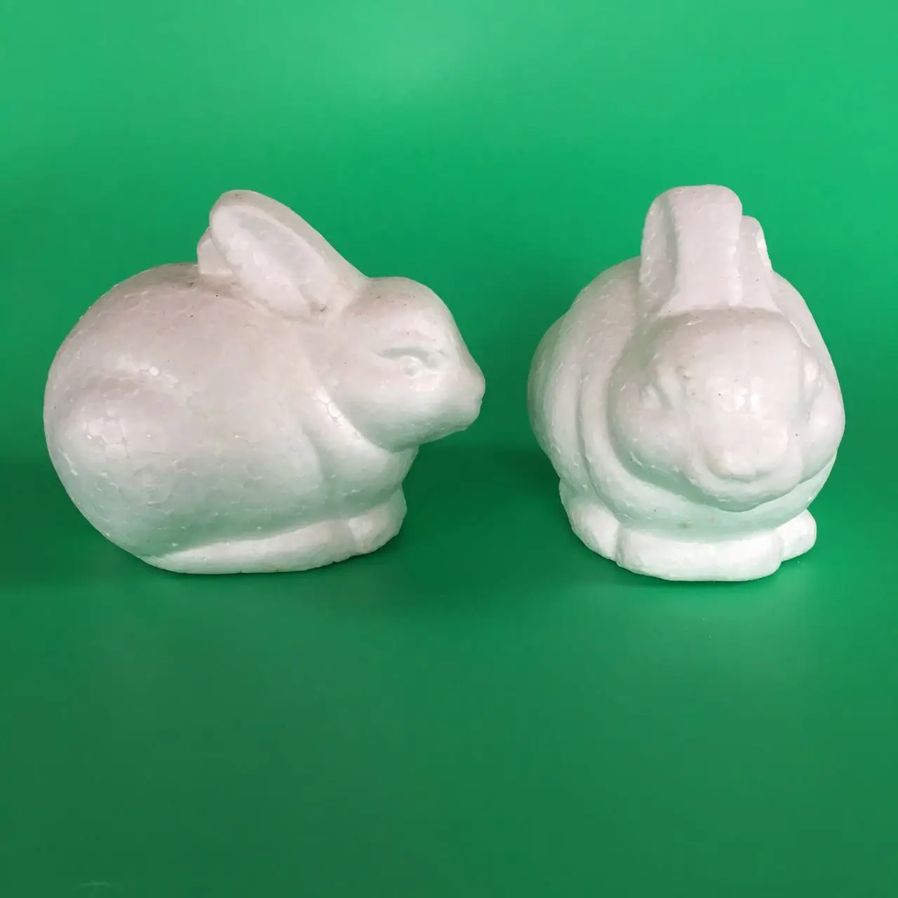 polystyrene styrofoam foam dog