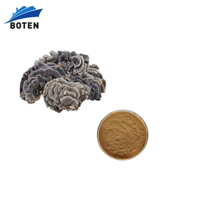 Turkey tail Mushroom PSP PSK 30%