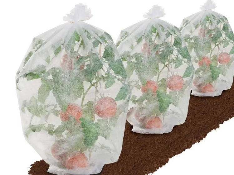 Housses, tomates выращивания Томатов охватывает tissu номера tissu