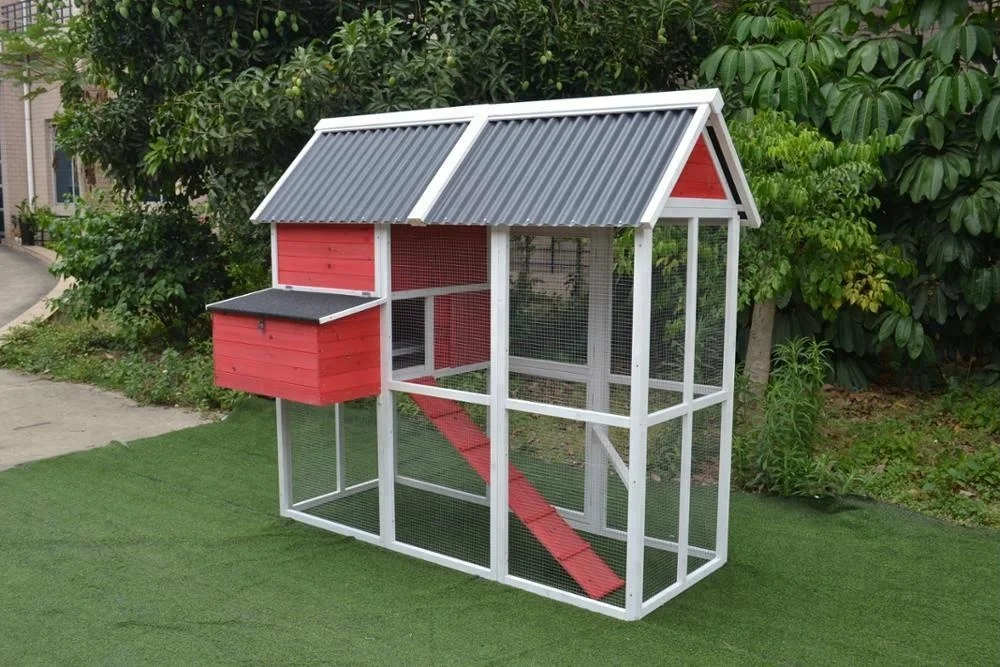 Wooden plastic roof chicken coop
