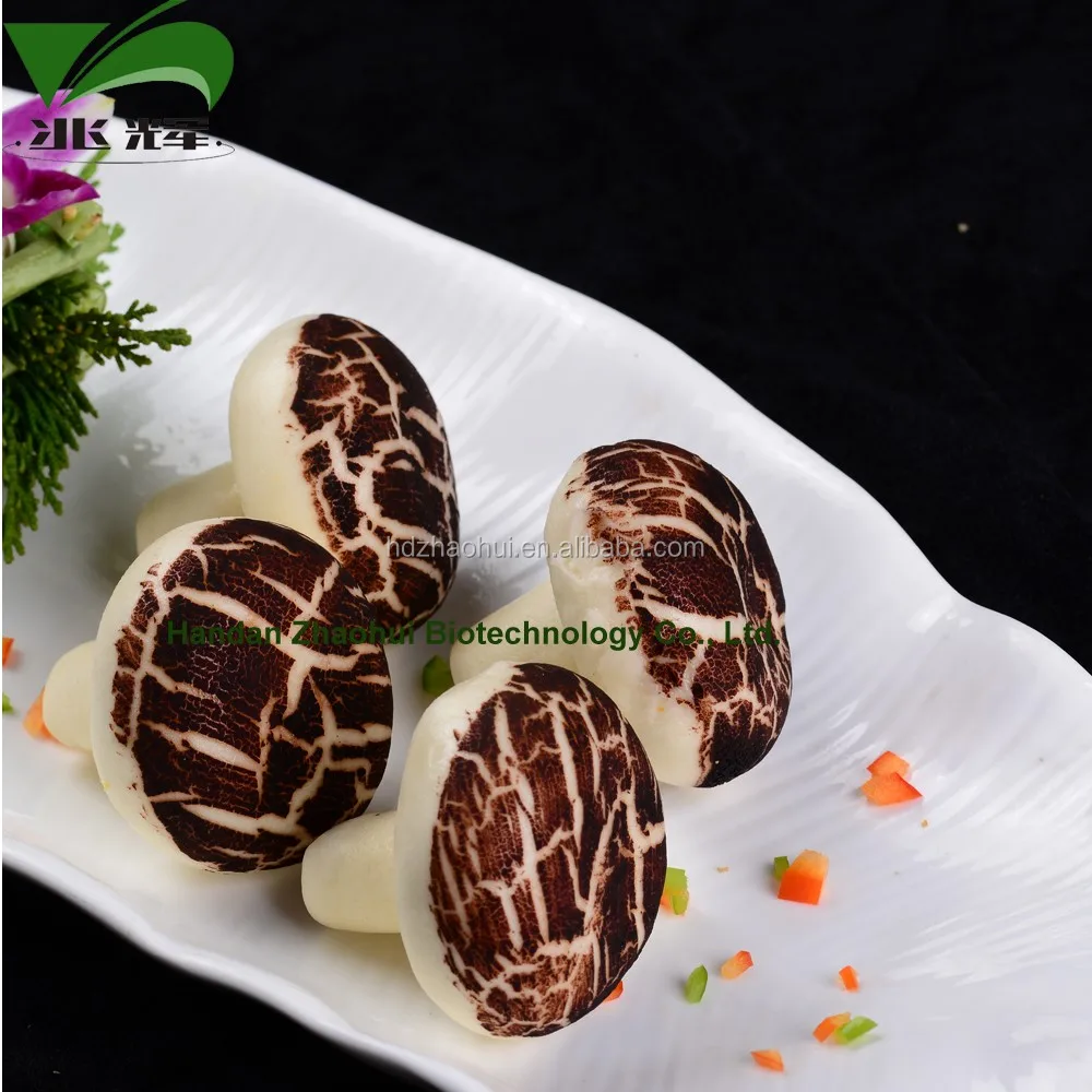 
Chinese Dim Sum Mushroom Chocolate Pau Steamed Buns Halal Food 