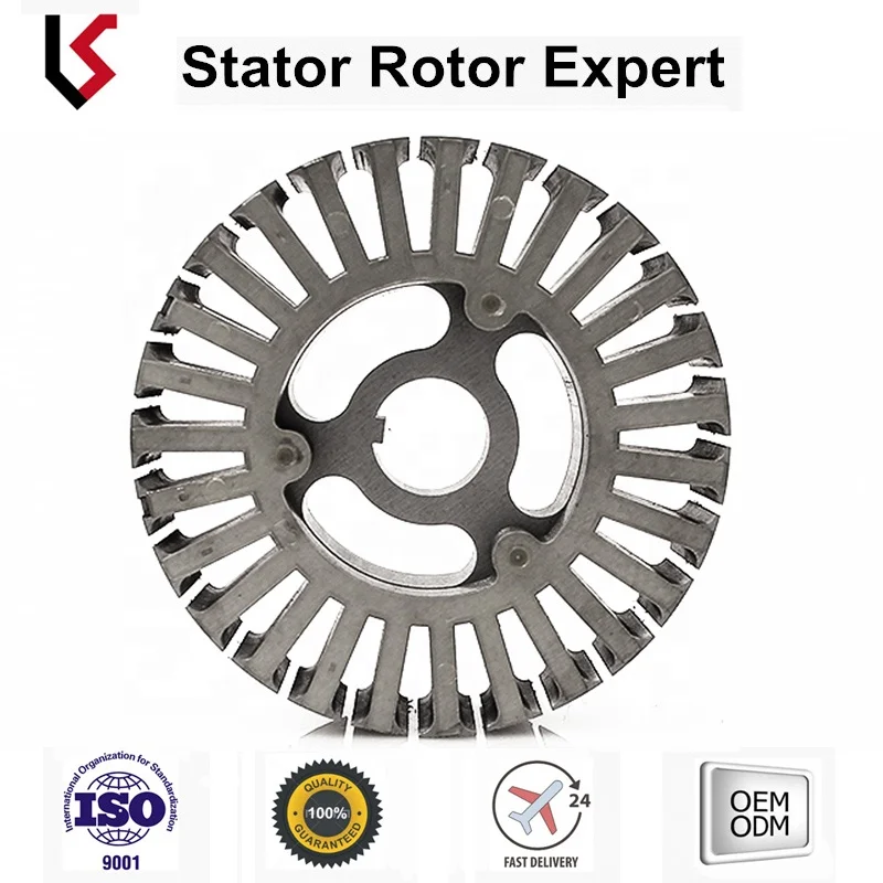 Segway Balance Vehicle Stator and rotor assembly metal sheet stamped rotor stator lamination winding motor rotor stator core