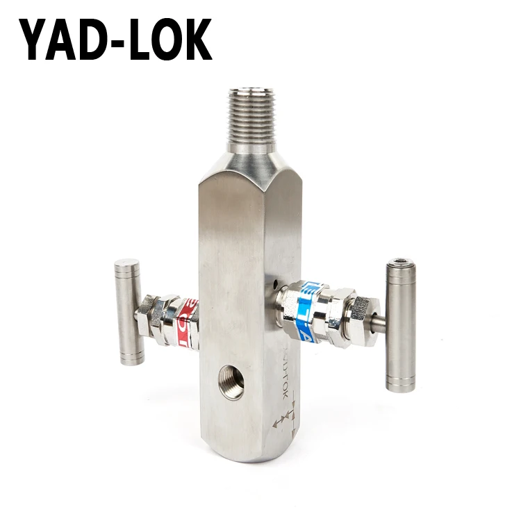 
YAD-LOK China Supplier High Pressure 6000Psi Ss304 Air Valve Manifold 2 Ways 