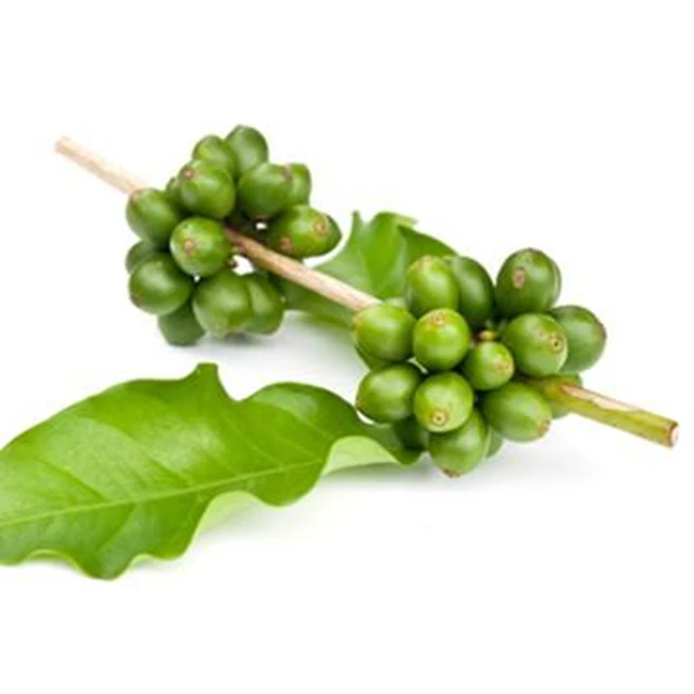 
Top Quality Pure Green Coffee Bean Extract Powder for Health Food 