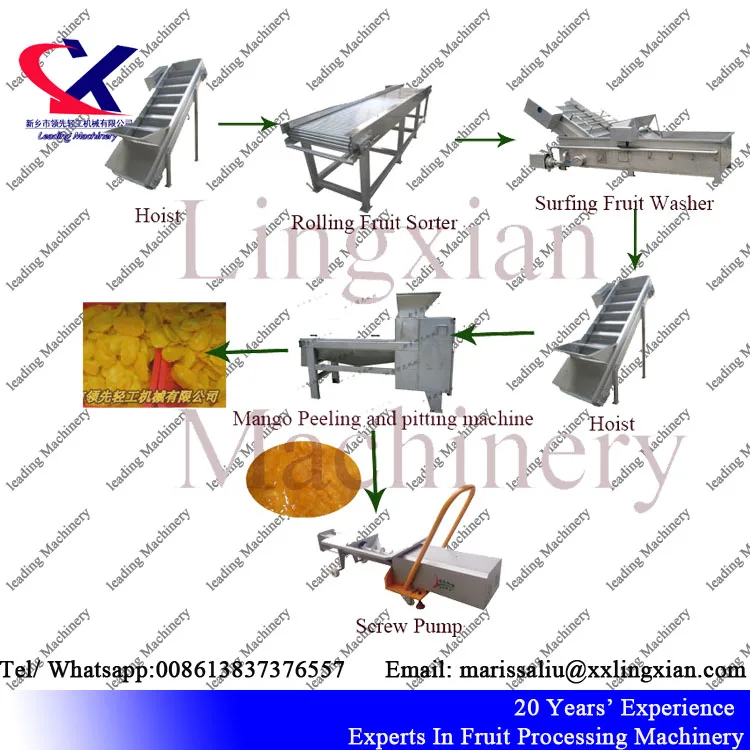 Industrial mango pulp extractor 2-3/h Professional mango juicer mango peel extract