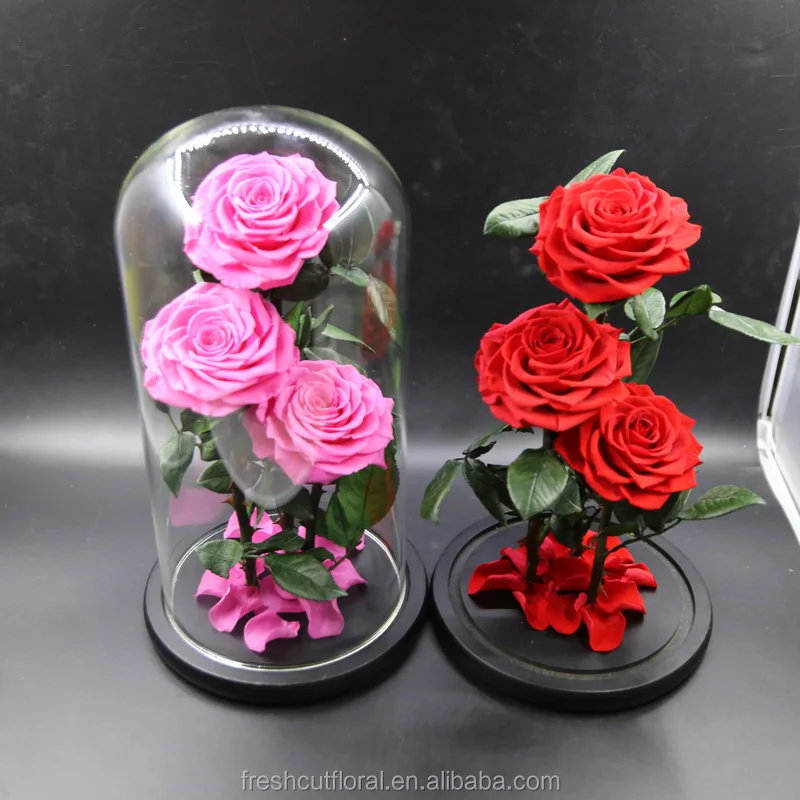 Wholesale Preserved Roses Preserved Roses With Stem in glass dome From Yunnan