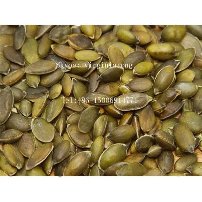 Wholesale organic pumpkin seed GWS for edible