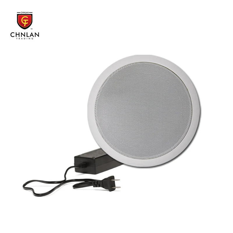 2019 TOP selling CTRLPA CA824B 20w Active  Wireless Ceiling Speaker