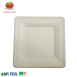 Compostable Biodegradable Sugarcane Dinnerware Bagasse Paper Pulp 10inch Square Plate