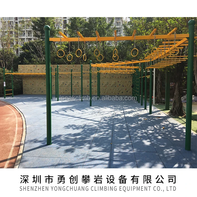 
Various design available,backyard rock climbing wall structure 