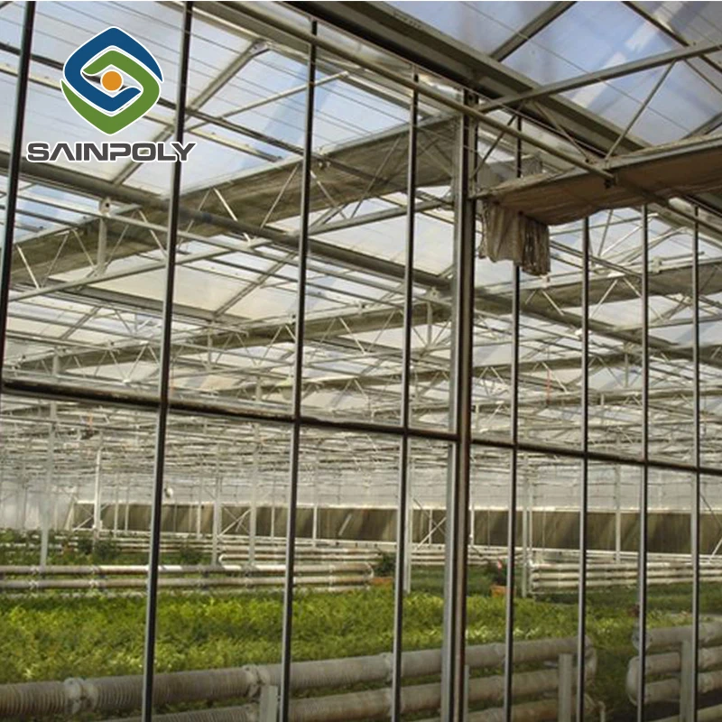Сельскохозяйственная многопролетная стеклянная теплица для томатов на продажу