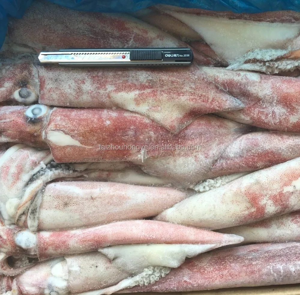 new frozen block Chinese loligo squid Whole round 8-13cm,13-18cm,18-22cm
