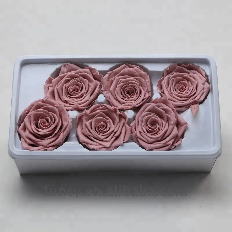 Wholesale A Grade 6 cm Pink Color Preserved Infinity Roses Flower Head From Yunnan FuncyFlora