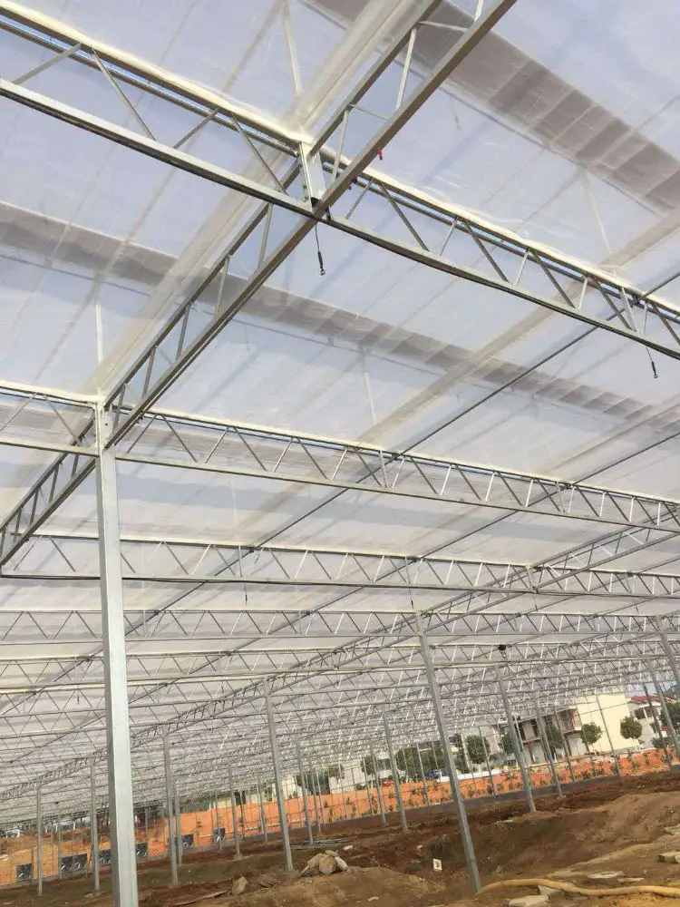 
low cost tomato greenhouse plastic film roll for agriculture 