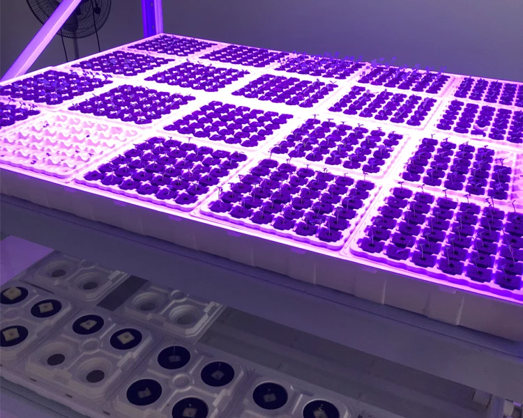 
OEM Custom Plastic Hydroponic Plant Deep Grow Tray 
