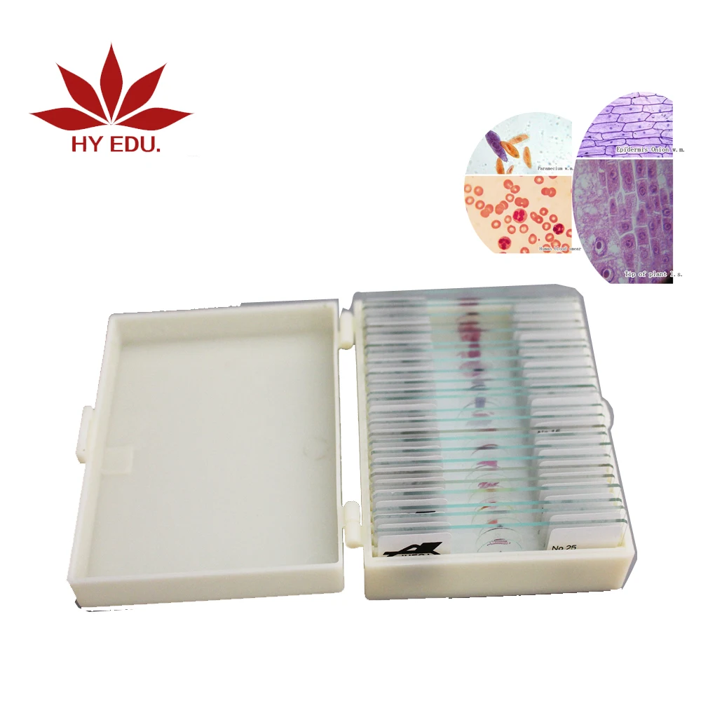 Fixed set 15 kinds aquatic freshwater life Microscope microscopy prepared slides