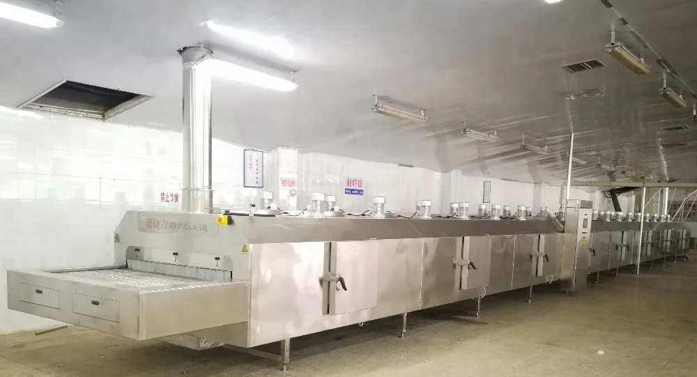 DJL, туннель для жидкого азота, быстрозамораживающее оборудование для овощей/зерен Таро