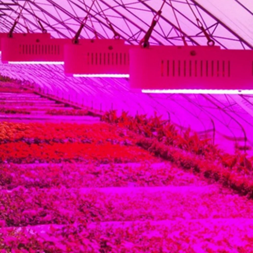 Full Spectrum 85-265V AC Garden Greenhouse Increasing Output UV&IR 1800W Indoor Plant COB LED Grow Light