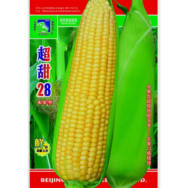 
High Yield Chinese Hybrid Bulk Incredible Sweet Corn Seed For Cultivation 