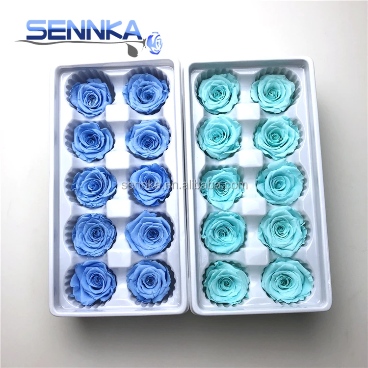 Factory Directly Sale Wholesale Real Touch Preserved Flower with 3-4cm Rose Bud